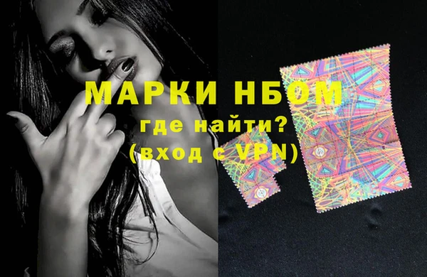 индика Бронницы