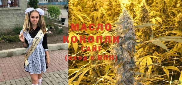 индика Бронницы