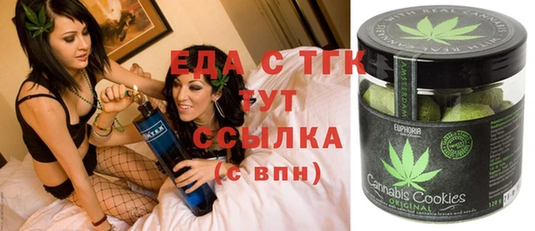 индика Бронницы