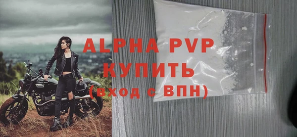индика Бронницы