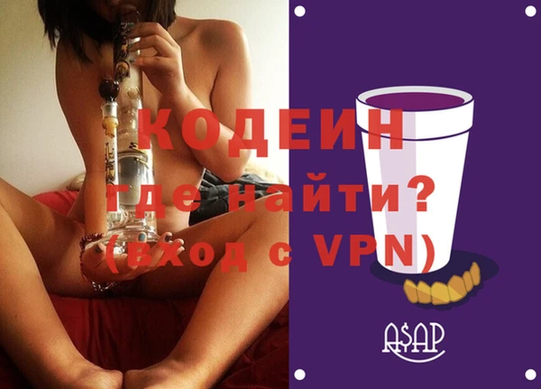 индика Бронницы