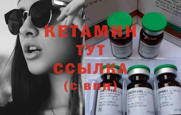 индика Бронницы